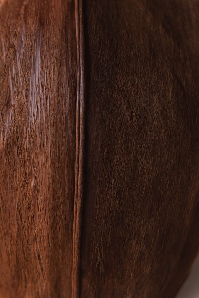 lámparas cuero vegetal calidez sofisticación Couro Shell