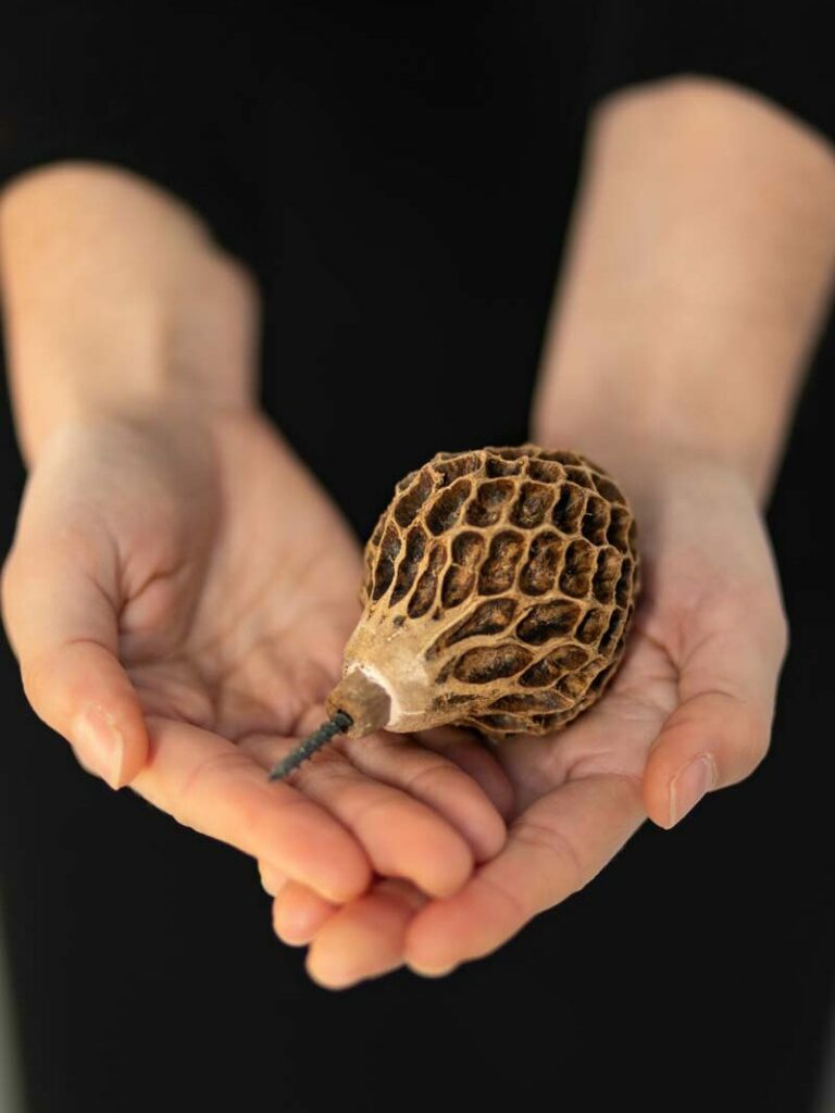 Colgador Molaris hanger Let's Pause