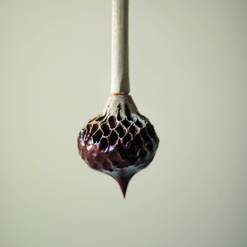 Molinillo de cacao de aspecto natural , proviene de la flor del magnolio. Extraordinariamente decorativo, que puedes colocar en un jarrón, en una cesta o reposando en el centro de tu mesa. Cuando estés en la cocina, tu molinillo Molaris es la herramienta secreta para batir el chocolate y darle una textura esponjosa, delicada y perfecta.